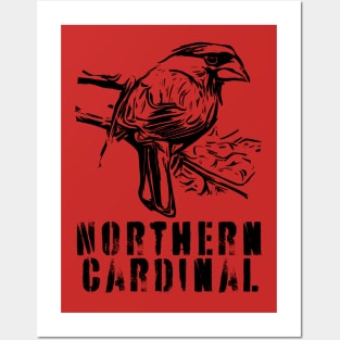 Northern Cardinal BW Posters and Art